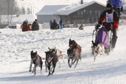 Lenk 2012 SM